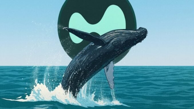 Hyperunit whale closes $86.6M Bitcoin shorts for $2.38M profit