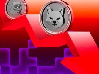 Is the BNB Meme Coin Hype Cycle Officially Over?