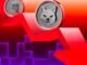 Is the BNB Meme Coin Hype Cycle Officially Over?