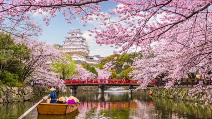 Japanese Investment Giant Climbs to Fourth in Corporate Bitcoin Holdings