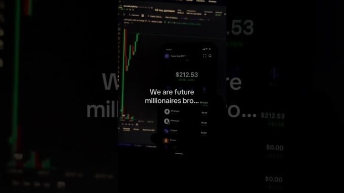 Learn in bio #crypto #memecoin #pumpfun #solana #rugpull #dexscreener