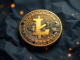 Litecoin Price Surge