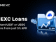 MEXC Loans