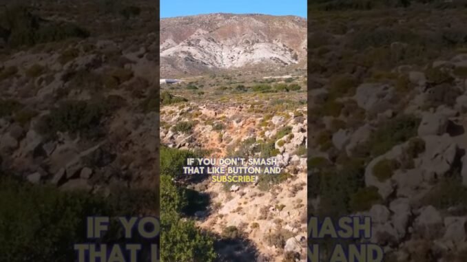 Mr. Laser Eyes sounds off on Cryptonews live #ethereum #motivationalshorts