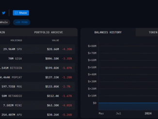 Murad&rsquo;s Portfolio