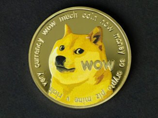 Dogecoin price: DOGE chart signals breakout, but could this newcomer reach $1 first?