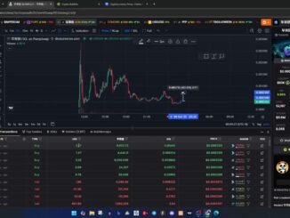Screening Memecoin On Dexscreener | 38 🔥🔥🔥