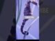 Seahorse in danger 😈❓|poison injection #new #facts #ai #news #viral #deepsea