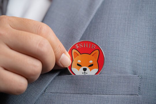 Shiba Inu Influencer Raises Alarm About Scam Using Real SHIB Shiba Inu