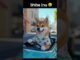 Shiba inu Car drive 😄 Shiba inu coin news today shiba inu Cartoon animation #shorts