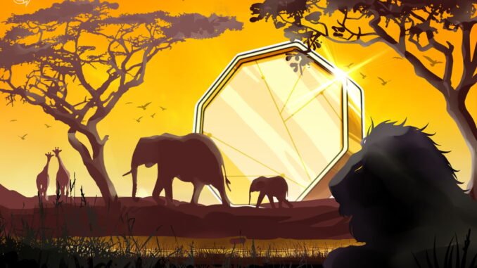 South Africans Can Now Pay With Crypto at 650,000 Stores