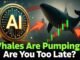 The AI Coin Whales Are Secretly Pumping… Are You Too Late?