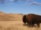 North Dakota