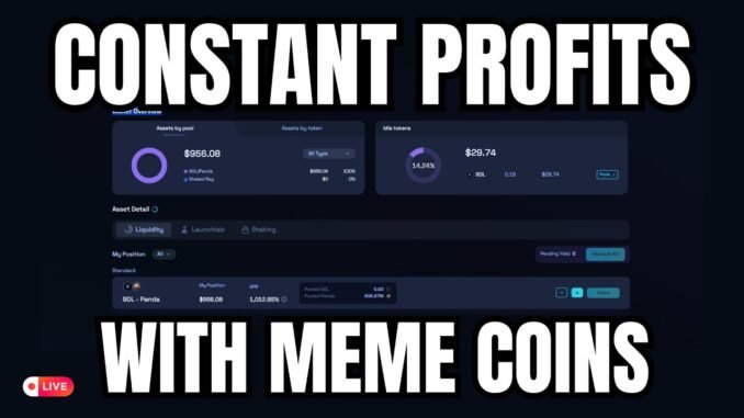 The Secret Routine Behind My Most Profitable Meme Coin Launches