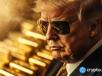 Trump memecoin issuer plans new digital asset treasury firm