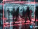 Web3 is losing billions, still calling fraud a ‘user error’