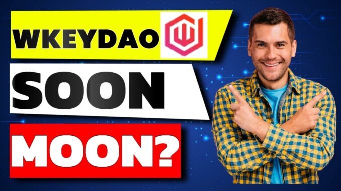 WebKey DAO (WKEYDAO): Gateway to Web3 or Hidden Gem of 2025? 🚀