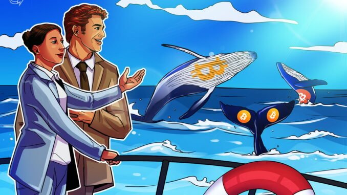 Whales Trade Bitcoin Keys for Comfort Whales Trade Bitcoin Keys for Comfort