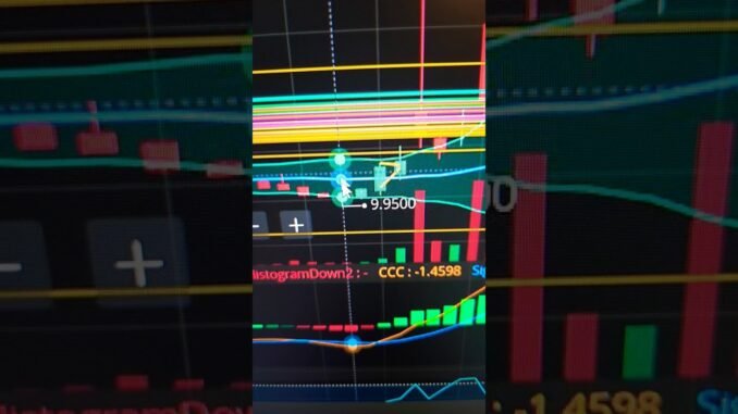What Will Happen To AMC, GME, Bitcoin & Crypto If The A.I Bubble Is Finally Popping!