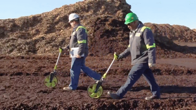 When dirt meets data: ScottsMiracle-Gro saved $150M using AI When dirt meets data: ScottsMiracle-Gro saved $150M using AI