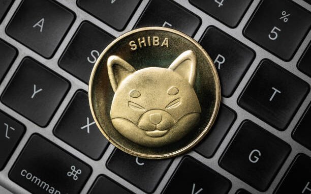 Why The Shiba Inu Consolidation Could End Rapidly With An Shiba Inu