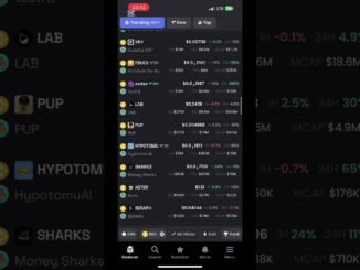 Yadda ake amfani da dexscreener