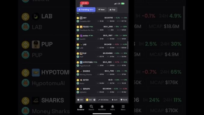 Yadda ake amfani da dexscreener