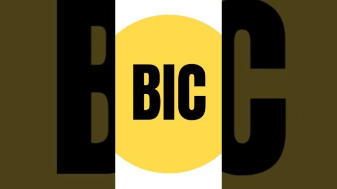 #binsancoin (biccoin) BIC  #Solana Blockchain #memecoin  Buy Pump.fun #Newcoin #crypto #Bitcoin