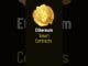 #cryptos  for Beginners #shortvideo