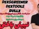 شکار  میم کوین  و دوری از ضرر | شکار میم کوین درست dexscreener dextools bullx | dexscreener dextools