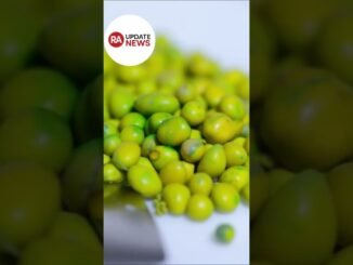 খাদ্য সচিবালয় সতর্ক করেছে, #youtubeshorts #bangladeshupdatenews #news #ai #facts #subscribers