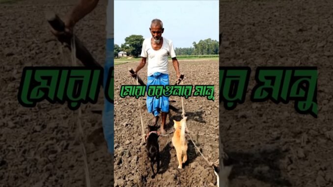 মোরা বরগুনার মানু #chatgpt #অনুপ্রেরণা #AI #tending #reelsfypシ #geminimanchallenge #aiphotoediting