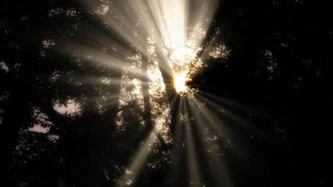 ‘Bitcoin Jesus’ Roger Ver Settles Tax Fraud Case Bitcoin