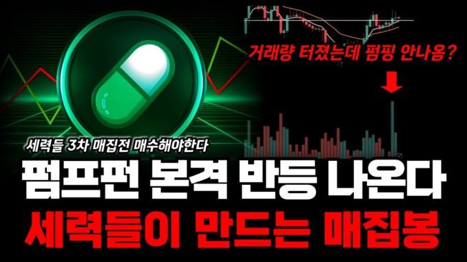 펌프펀 코인 본격 상승 가능성 높다! 엄청난 세력 자금이 몰려오는 시기! #펌프펀코인