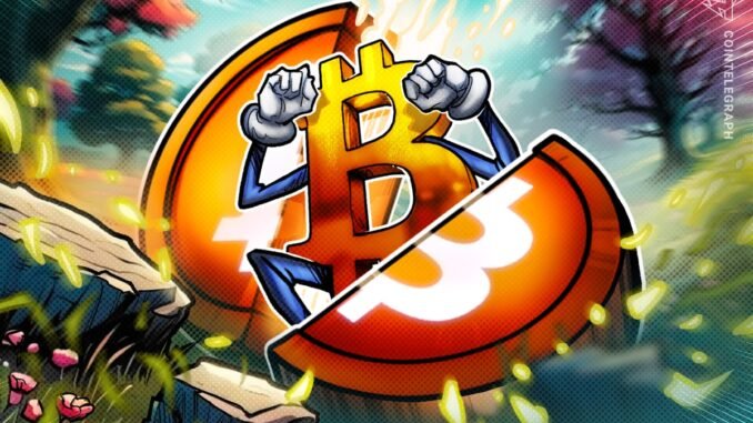 13 Years Since Bitcoin’s First Halving: Mining In 2025