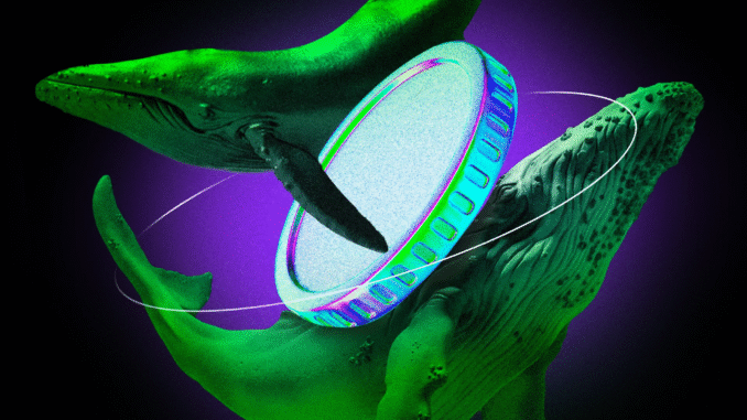 3 Altcoins That Whales Are Buying After the Early November Crash