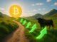5 clear signals that will prove if the Bitcoin bull run is still alive