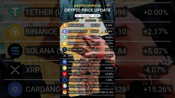 BITCOIN CRASH ALERT: BTC Down 5.33% to $90.75K | Crypto Market Correction Nov 18, 2025 | Live Prices