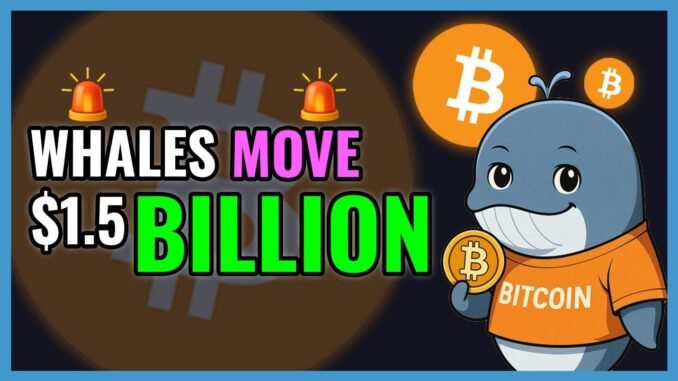 BTC Whales Just Moved $1.55 BILLION!🚨WHALE ALERT