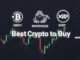 Best Crypto to Buy & HODL as $BTC Drops to 6-Month Low