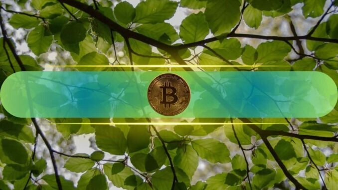 Bitcoin Targets $96K-$99K Recovery as Indices Signal Reversal