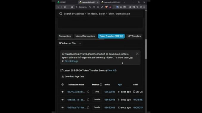 Bitnest rastreo mi deposito 303$ blockchain y pancakeswap  #smartcontract #auditcertik #web3