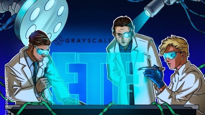 Canary Files MOG ETF Helping to Lift Memecoin’s Price