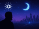 Cardano news