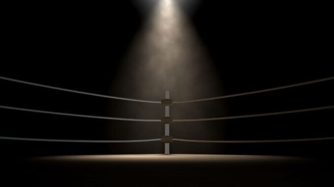 Court Says 'Serious Issue to Be Tried'