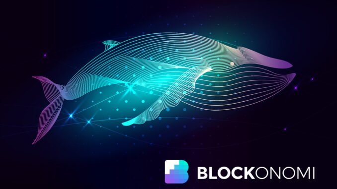 Crypto Whale Opens $44.5M Ether Long Position After October Crash Profits