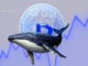 CryptoQuant CEO Ki Young Ju Says OG Whales Are Dragging the Market