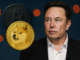 Dogecoin news