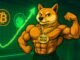 Dogecoin vs Bitcoin: A New Meme Coin Juggernaut Enters the Arena