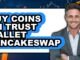 How to Buy Coins on Trust Wallet Pancakeswap (Only Way)